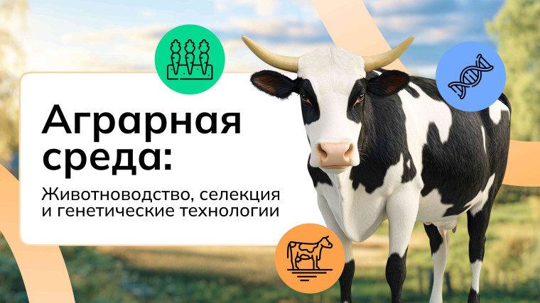Билет в будущее.